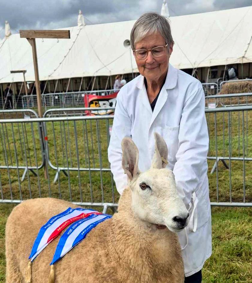 Sue Martyn