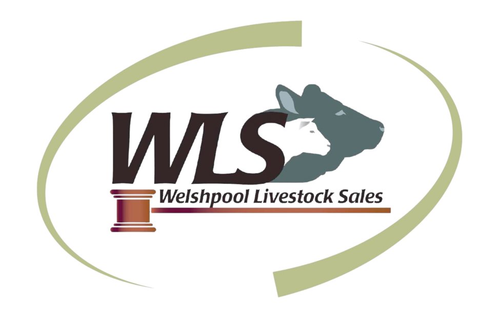 Welshpool Livestock Sales